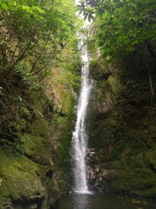 Waterfall